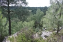 forêt des 3 Pignons